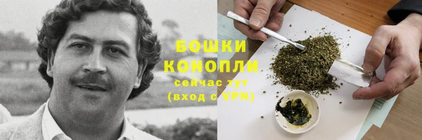 PSILOCYBIN Белокуриха