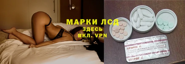 PSILOCYBIN Белокуриха