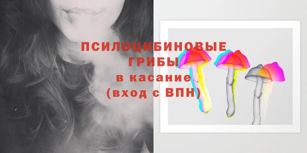 PSILOCYBIN Белокуриха