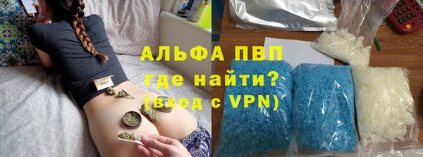 PSILOCYBIN Белокуриха
