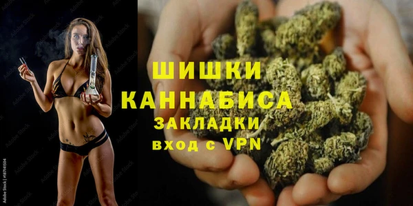 PSILOCYBIN Белокуриха
