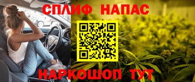 бошки Заводоуковск