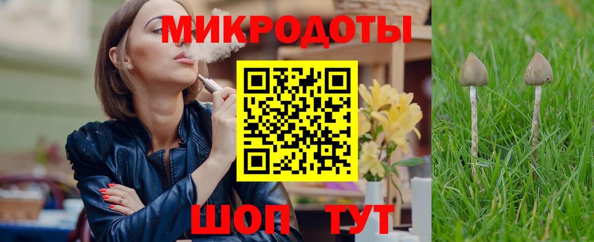 Псилоцибиновые грибы GOLDEN TEACHER Надым